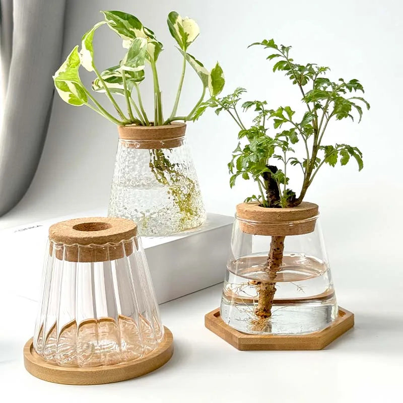 Glass Small Flower Pots for Plants Hydroponics Plant Pots Transparent Flower Vase With Tray Office Home Decoration Accessories