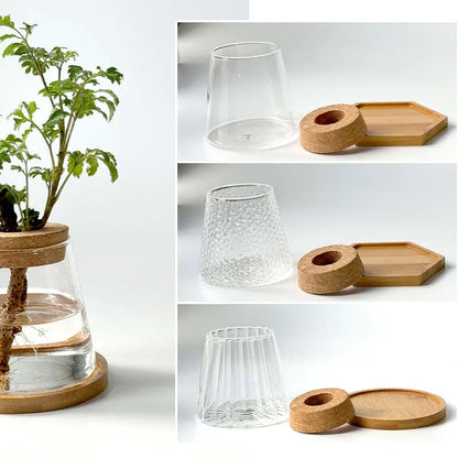 Glass Small Flower Pots for Plants Hydroponics Plant Pots Transparent Flower Vase With Tray Office Home Decoration Accessories