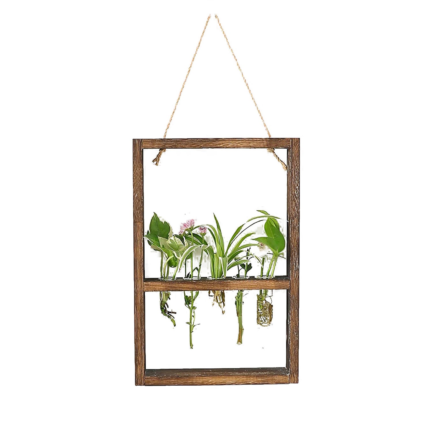 Test Tubes Glass Planter Wall Hanging Terrarium Container Flower Vase with Wooden Holder for Propagation Hydroponic Plant