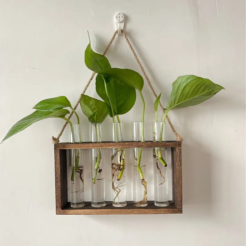 Test Tubes Glass Planter Wall Hanging Terrarium Container Flower Vase with Wooden Holder for Propagation Hydroponic Plant