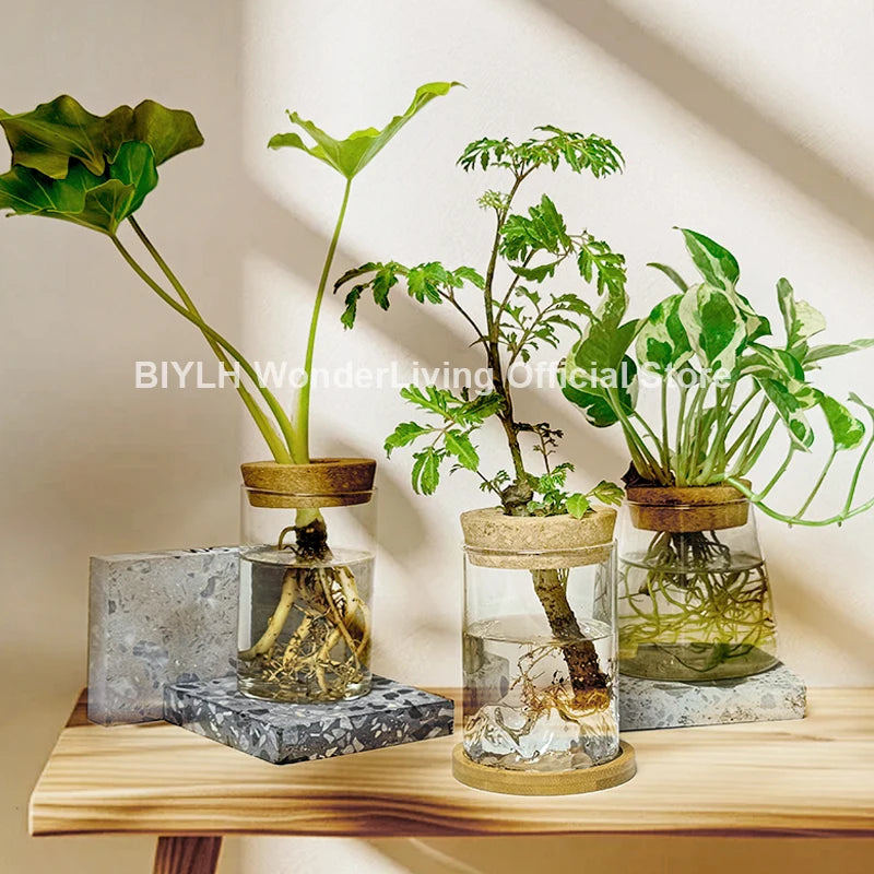 Glass Plant Pot Hydroponic Plants Flower Pot Interior Decorative Planters Transparent Flower Vase Decor Home Garden Accessories