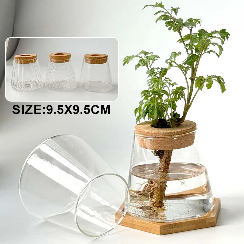 Glass Small Flower Pots for Plants Hydroponics Plant Pots Transparent Flower Vase With Tray Office Home Decoration Accessories