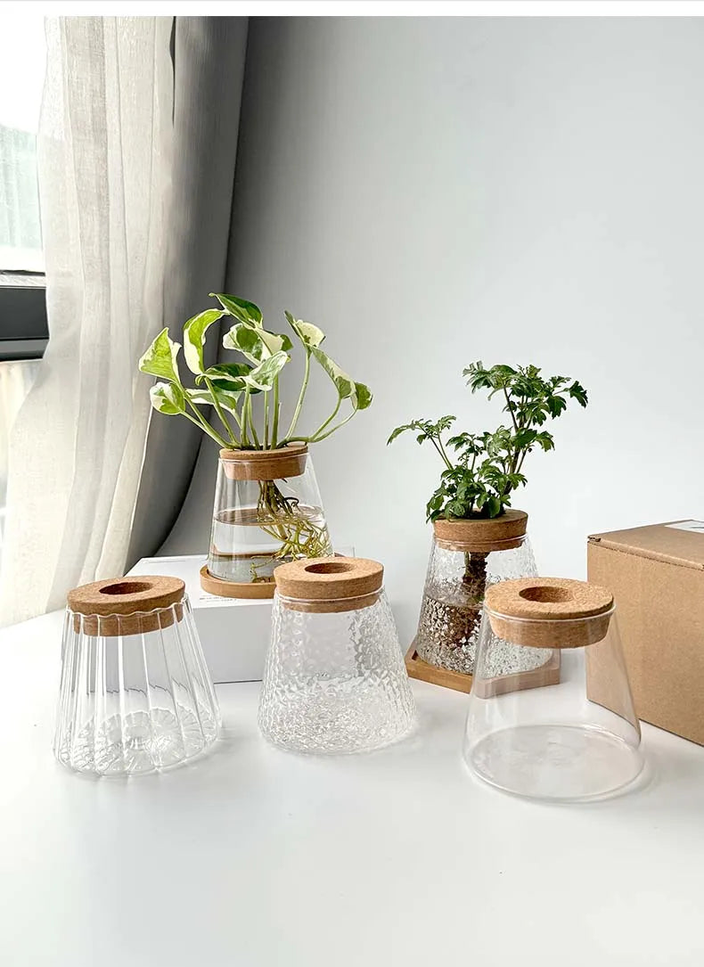 Glass Small Flower Pots for Plants Hydroponics Plant Pots Transparent Flower Vase With Tray Office Home Decoration Accessories