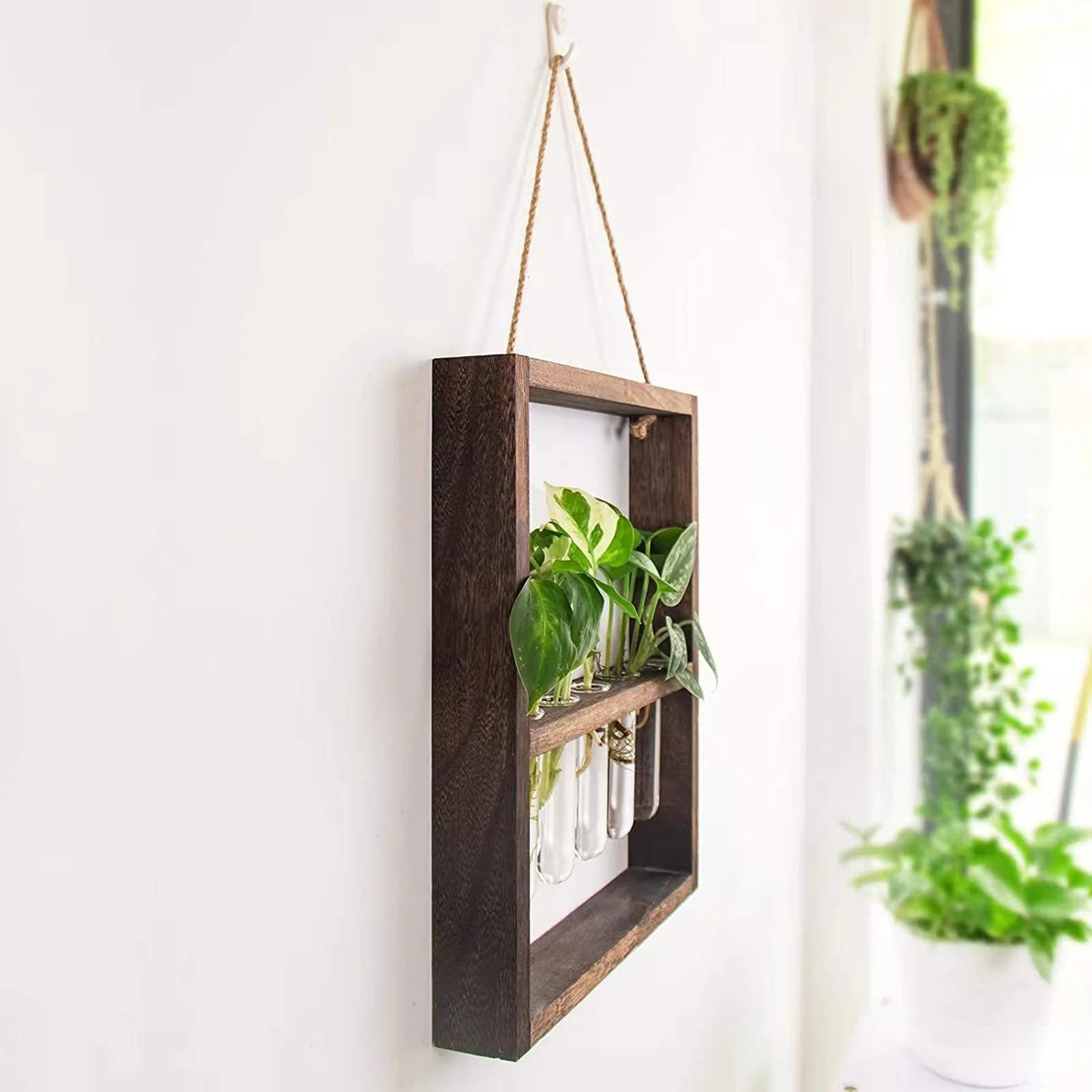 Test Tubes Glass Planter Wall Hanging Terrarium Container Flower Vase with Wooden Holder for Propagation Hydroponic Plant