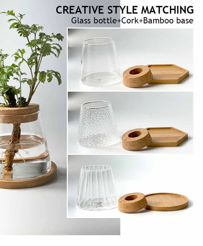 Glass Small Flower Pots for Plants Hydroponics Plant Pots Transparent Flower Vase With Tray Office Home Decoration Accessories