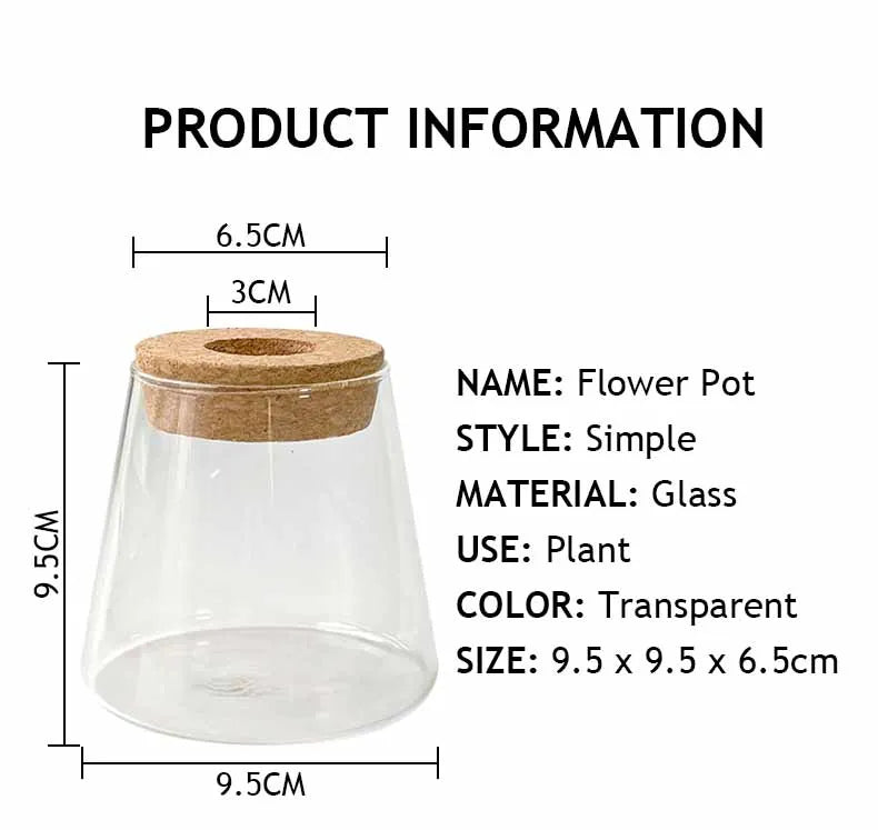 Glass Small Flower Pots for Plants Hydroponics Plant Pots Transparent Flower Vase With Tray Office Home Decoration Accessories