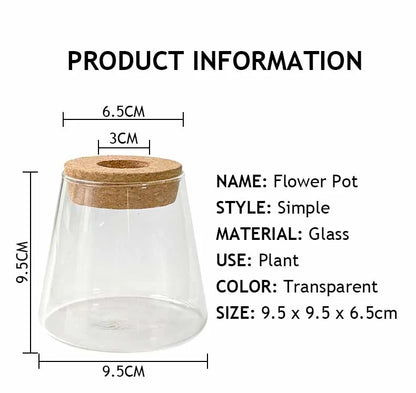 Glass Small Flower Pots for Plants Hydroponics Plant Pots Transparent Flower Vase With Tray Office Home Decoration Accessories