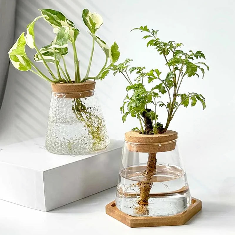 Glass Small Flower Pots for Plants Hydroponics Plant Pots Transparent Flower Vase With Tray Office Home Decoration Accessories