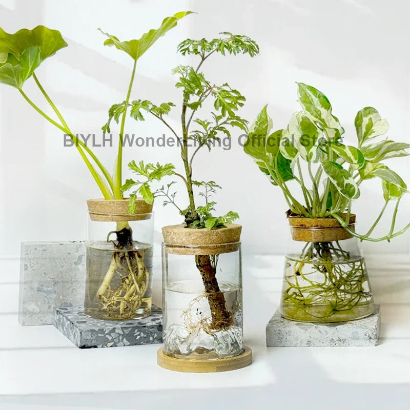 Glass Plant Pot Hydroponic Plants Flower Pot Interior Decorative Planters Transparent Flower Vase Decor Home Garden Accessories