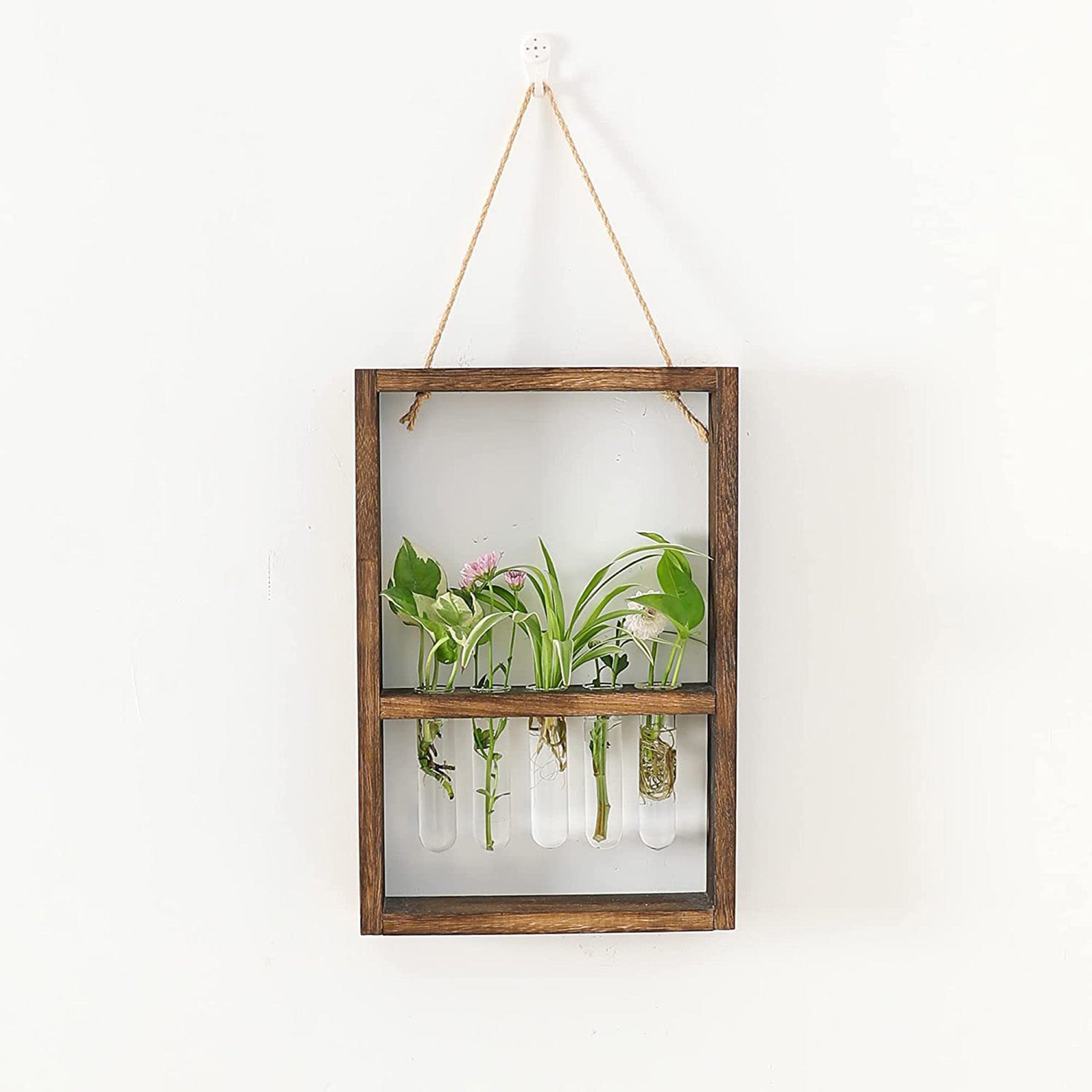 Test Tubes Glass Planter Wall Hanging Terrarium Container Flower Vase with Wooden Holder for Propagation Hydroponic Plant