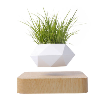 Floating Levitating Magnetic Plant Pot